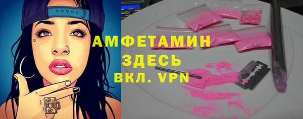 СК Алексин