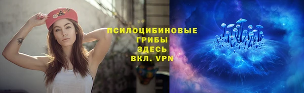 СК Алексин