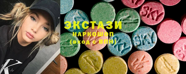 СК Алексин