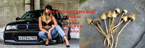 mdpv Алзамай