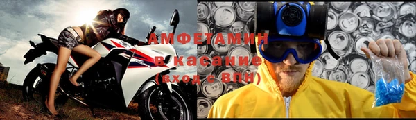 СК Алексин