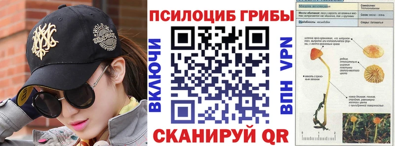 купить закладку  Бирюсинск  Галлюциногенные грибы Psilocybine cubensis 